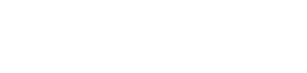 Auto Auction Mall